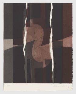 Prefacio de la noche y la llama (IV), Amadeo Gabino