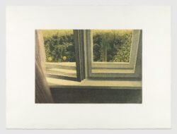 Ventana, Cesar Luengo