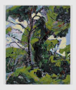 Árboles, 1962, Jorge Pedraza