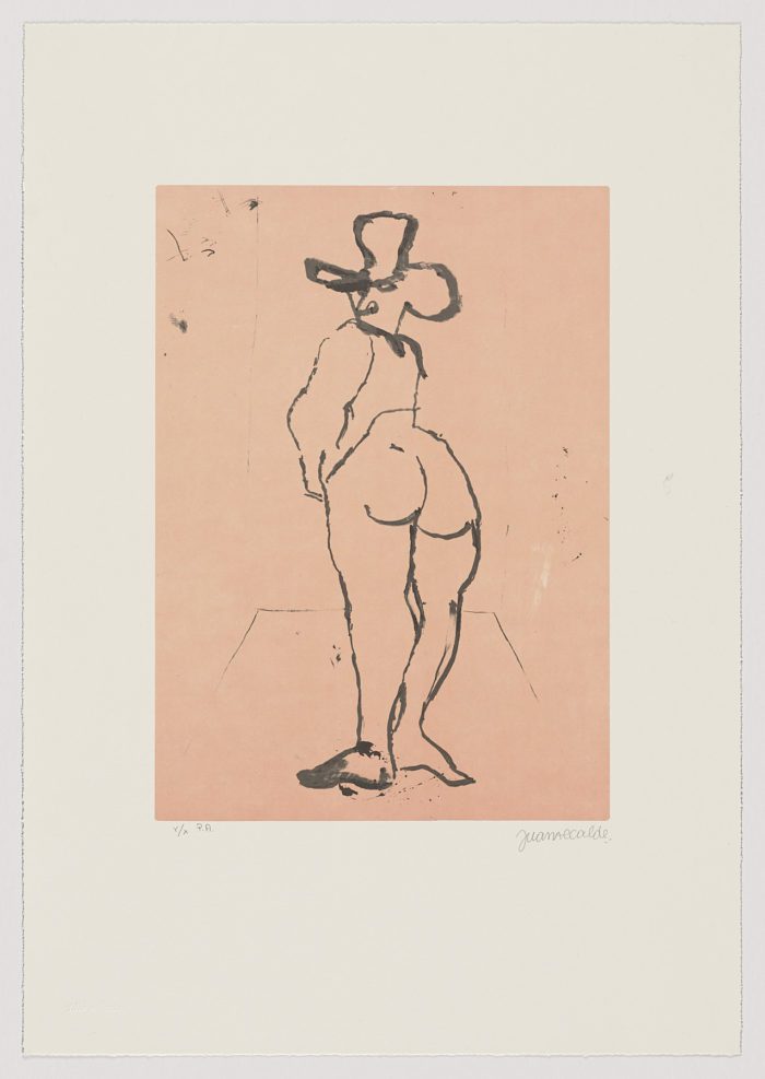 Sueño con sombrero, 2007, Juan Alcalde