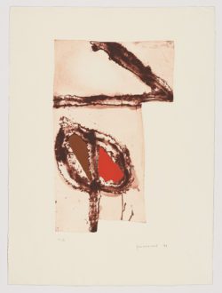 Imatges i terra 5, 1991, Josep Guinovart