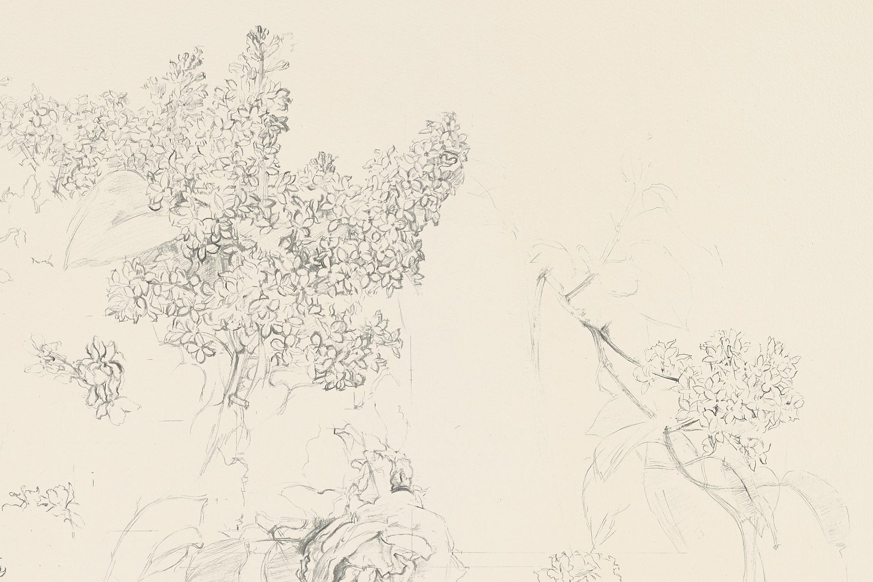 Rosa y membrillo, 1992, Antonio López