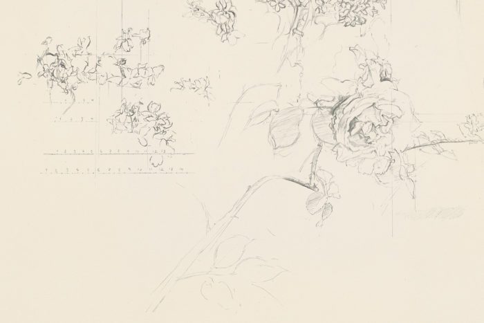 Rosa y membrillo, 1992, Antonio López