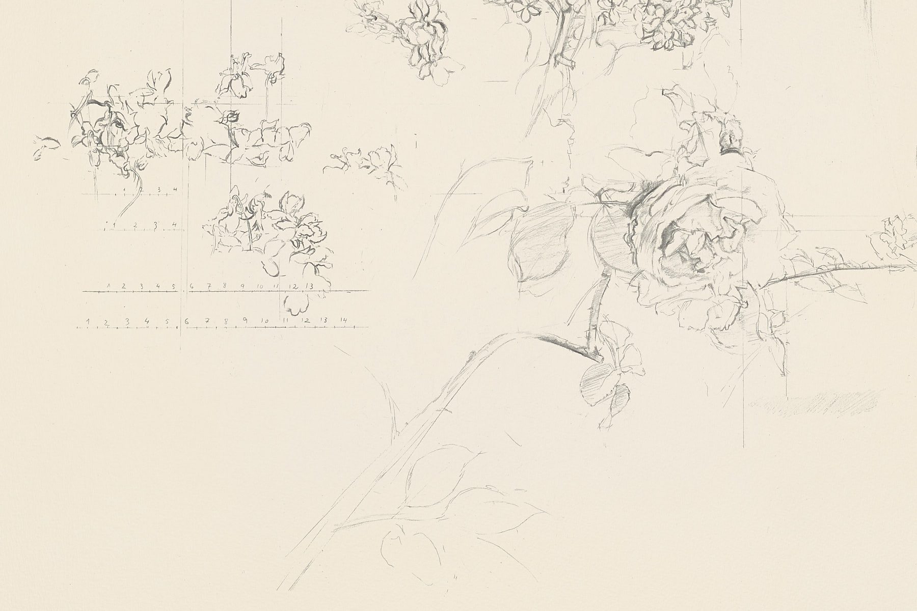 Rosa y membrillo, 1992, Antonio López