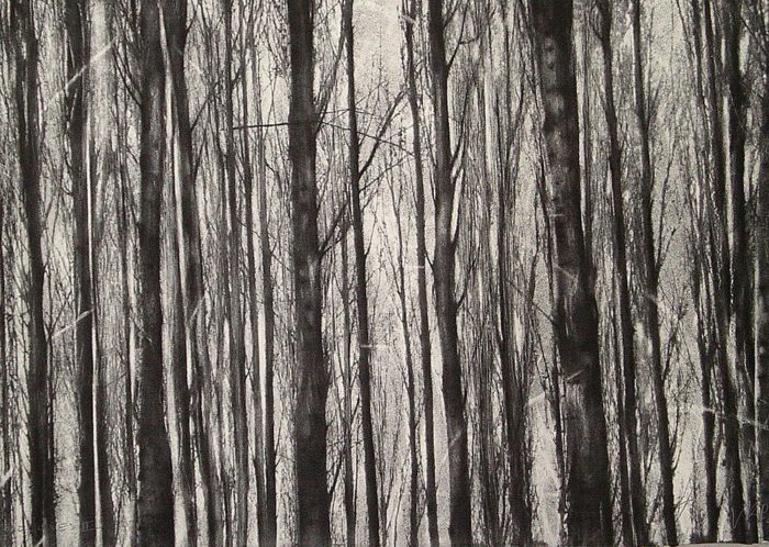 Continuidad de los bosques II (Díptico)