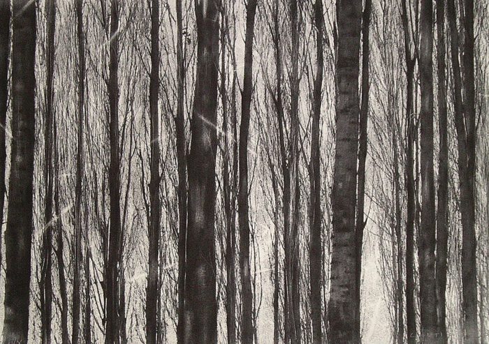 Continuidad de los bosques II (Díptico)