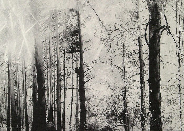 Continuidad de los bosques I (Díptico)