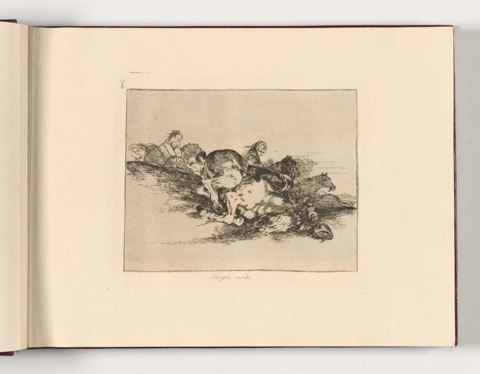 Los desastres de la guerra, Francisco de Goya