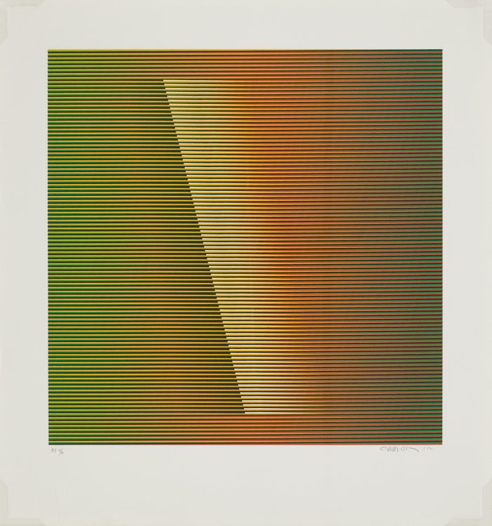 Medellín 2, 2013, Carlos Cruz - Díez