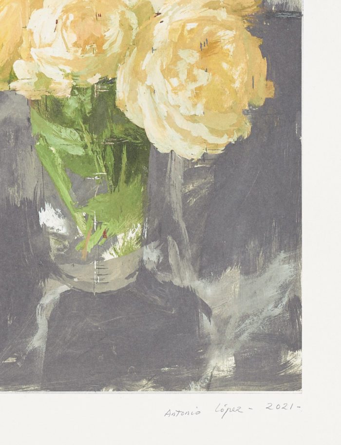 Rosas de invierno, 2021, Antonio López