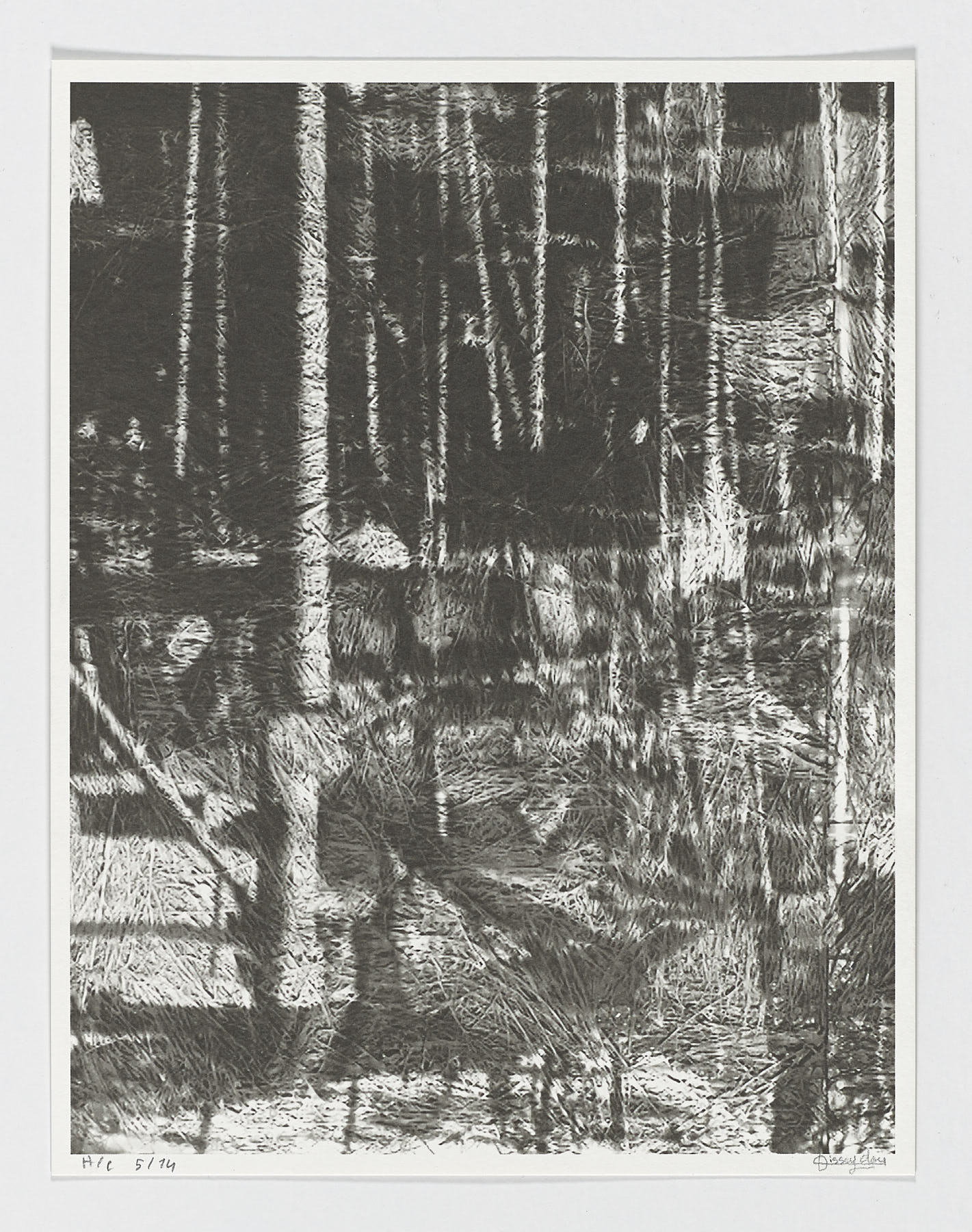 Dji Mèlèkè 2/3, 2018 -2019, Seydou Cissé