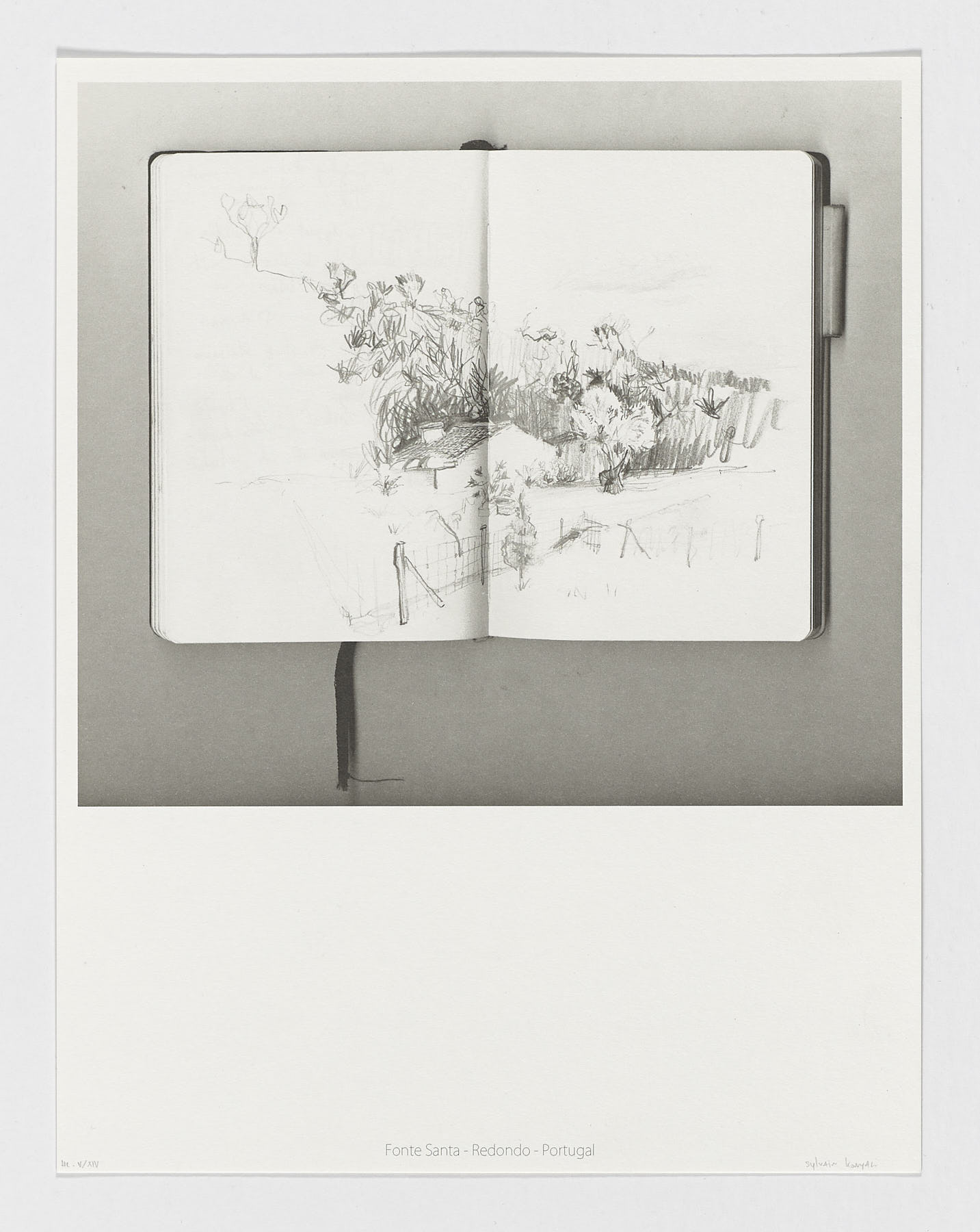 Fonte Santa - Redondo - Portugal, 2018 - 2019, Sylvain Konyali