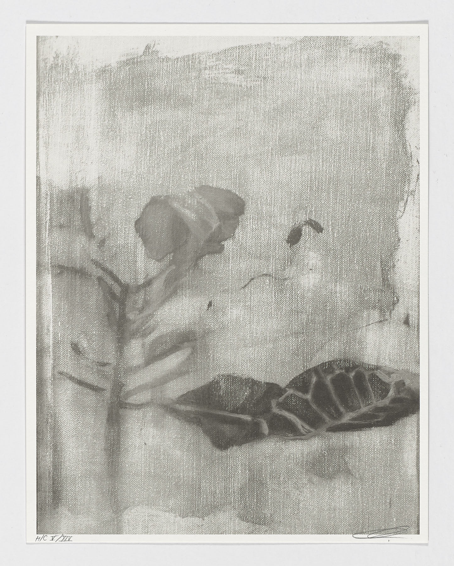 India Song (detail), 2018 - 2019, Yann Lacroix