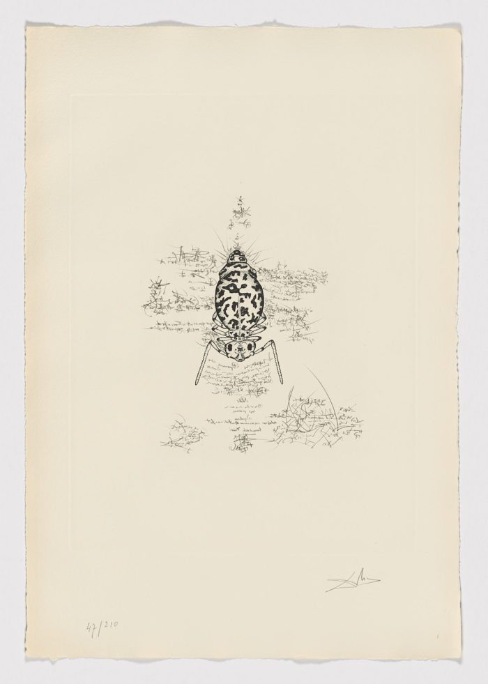 Dix Recettes d’Immortalite, 1973, Salvador Dalí