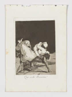 Que se la llevaron!, Francisco de Goya