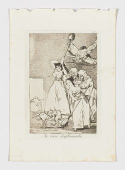 Ya van desplumados, Francisco de Goya