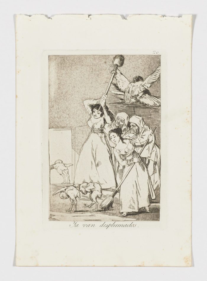 Ya van desplumados, Francisco de Goya