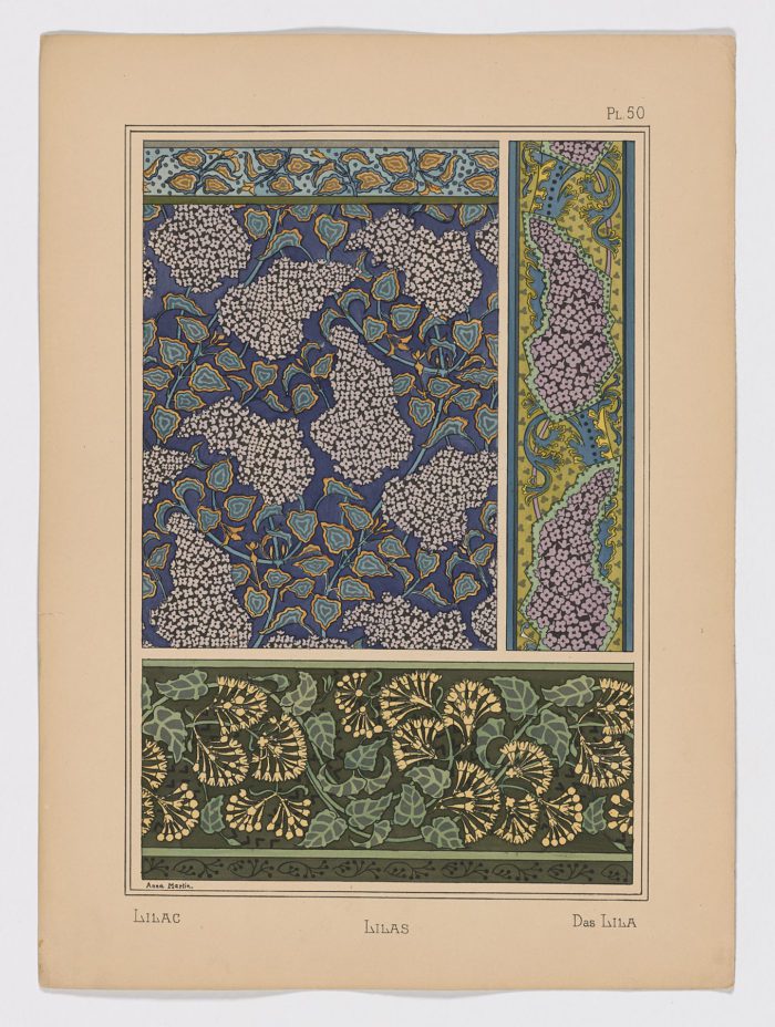 Lilas Pl.50, 1896, Anna Martin