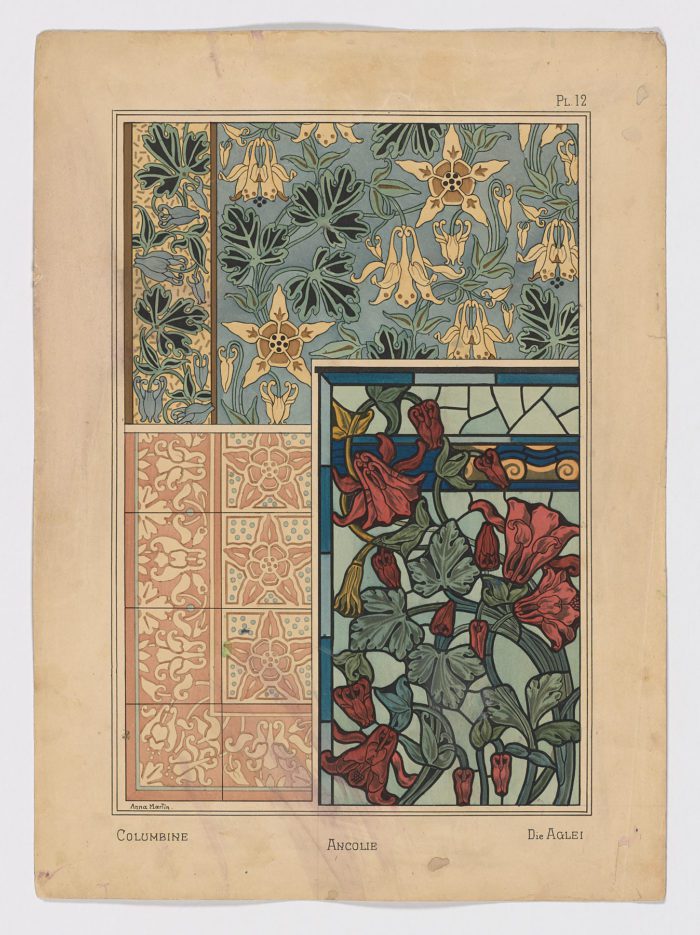 Ancolie Pl.12, 1896, Anna Martin