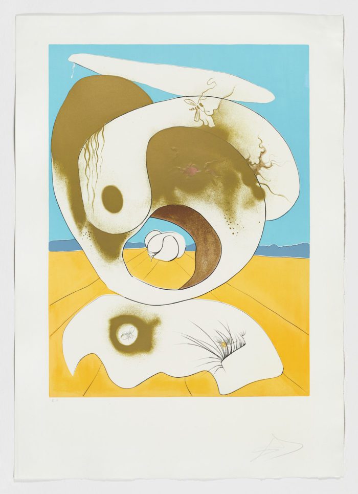 La conquete du cosmos. Vision planétaire et scatologique, Salvador Dalí