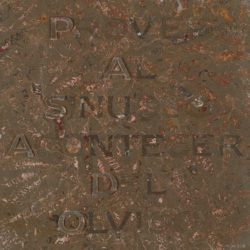 Tempvs (III), Luis Quintero Brea
