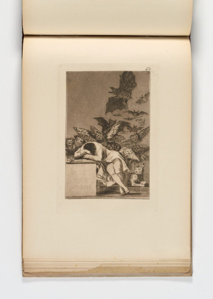 Caprichos, Francisco de Goya