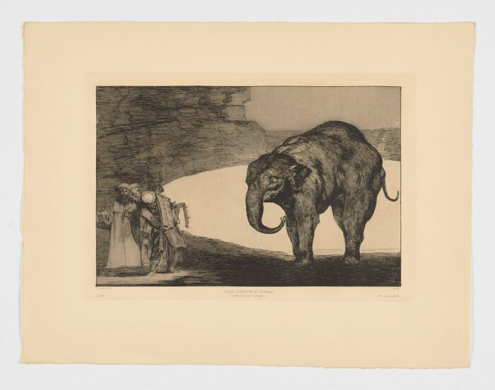 Disparate de bestia o Quién se pondrá el cascabel al gato?, Francisco de Goya