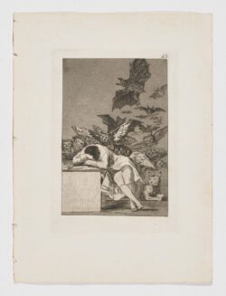 El sueño de la razón produce monstruos, Francisco de Goya