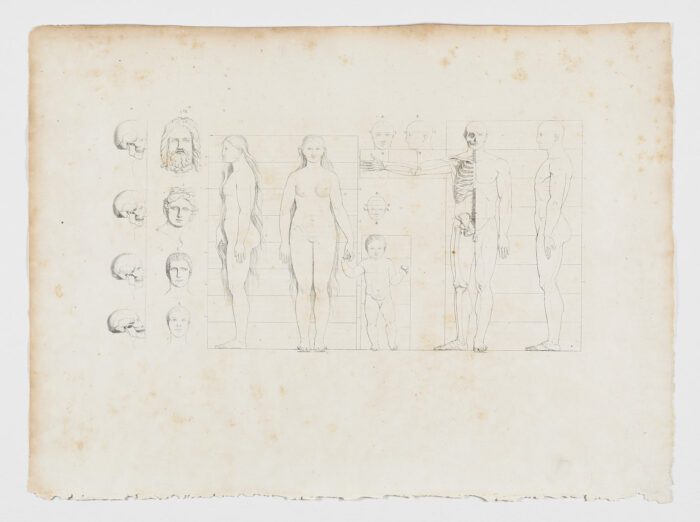 Anatomie du gladiateur combattant applicable aux beaux arts, 1812, Jean-Galbert Salvage