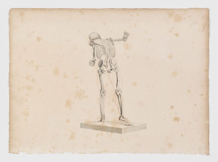 Anatomie du gladiateur combattant applicable aux beaux arts, 1812, Jean-Galbert Salvage