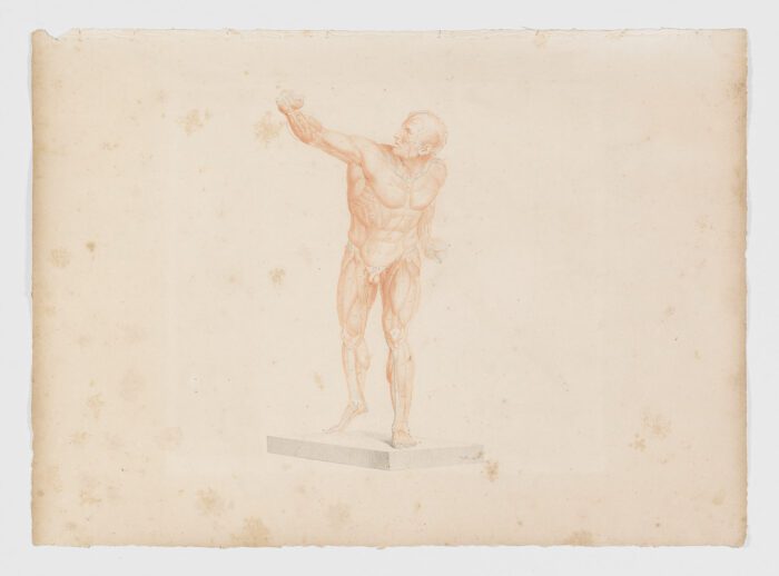 Anatomie du gladiateur combattant applicable aux beaux arts, 1812, Jean-Galbert Salvage