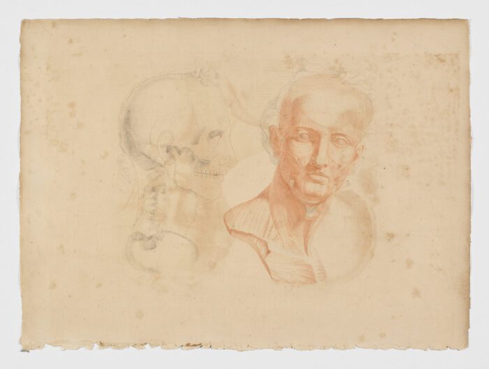 Anatomie du gladiateur combattant applicable aux beaux arts, 1812, Jean-Galbert Salvage