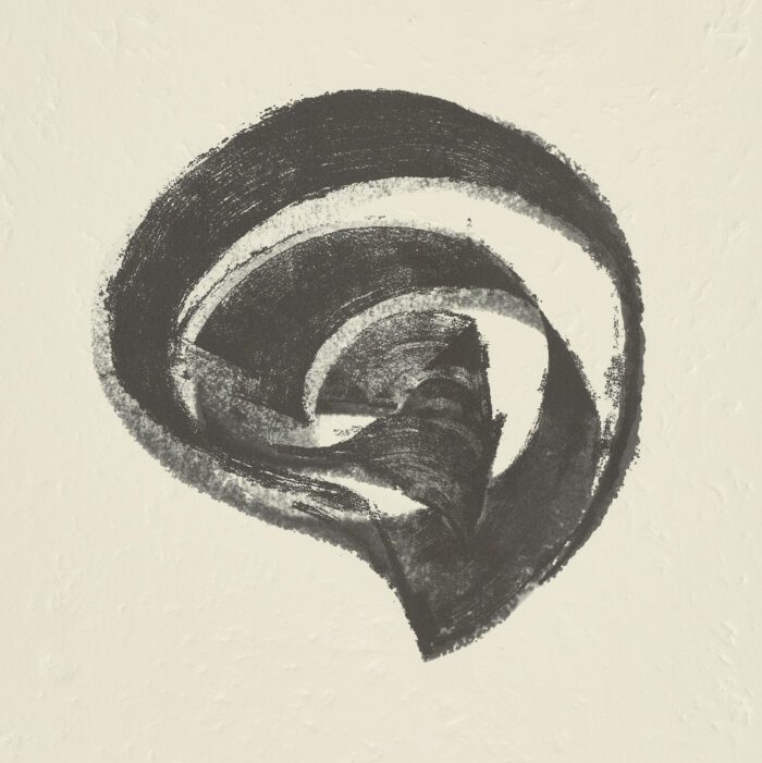 La Espiral. Naturaleza, Simbología y Cosmos, 2005, Martín Chirino