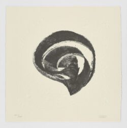 La Espiral. Naturaleza, Simbología y Cosmos, 2005, Martín Chirino