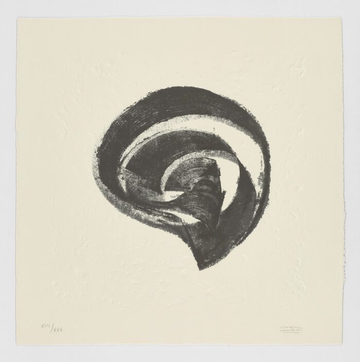 La Espiral. Naturaleza, Simbología y Cosmos, 2005, Martín Chirino