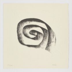 La Espiral. Naturaleza, Simbología y Cosmos, 2005, Martín Chirino
