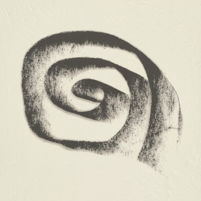 La Espiral. Naturaleza, Simbología y Cosmos, 2005, Martín Chirino