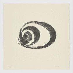 La Espiral. Naturaleza, Simbología y Cosmos, 2005, Martín Chirino