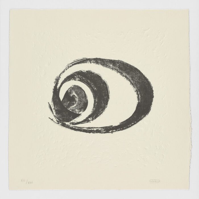 La Espiral. Naturaleza, Simbología y Cosmos, 2005, Martín Chirino