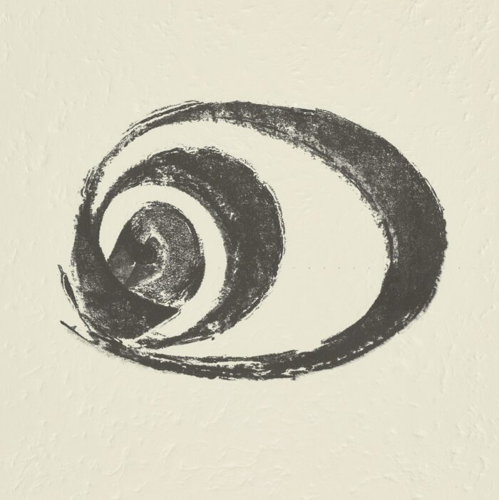 La Espiral. Naturaleza, Simbología y Cosmos, 2005, Martín Chirino