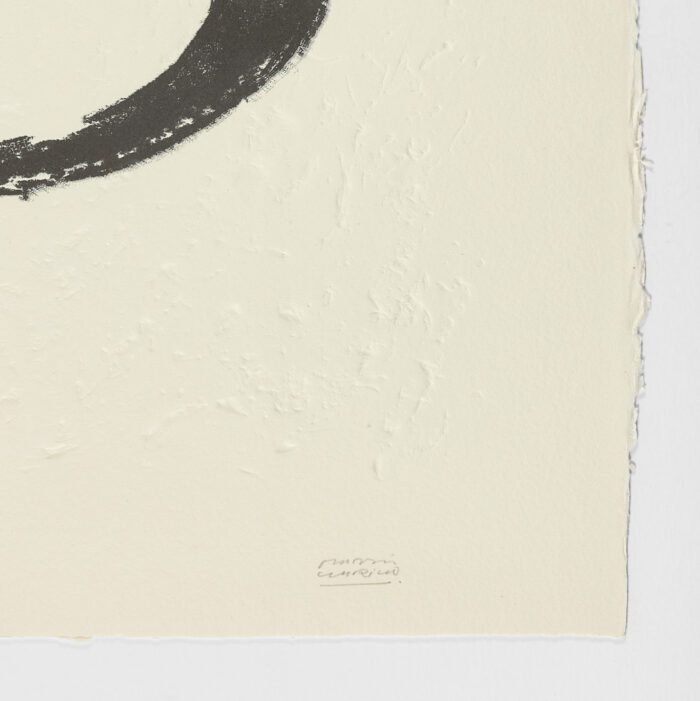 La Espiral. Naturaleza, Simbología y Cosmos, 2005, Martín Chirino