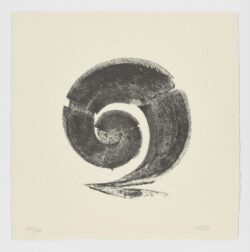 La Espiral. Naturaleza, Simbología y Cosmos, 2005, Martín Chirino