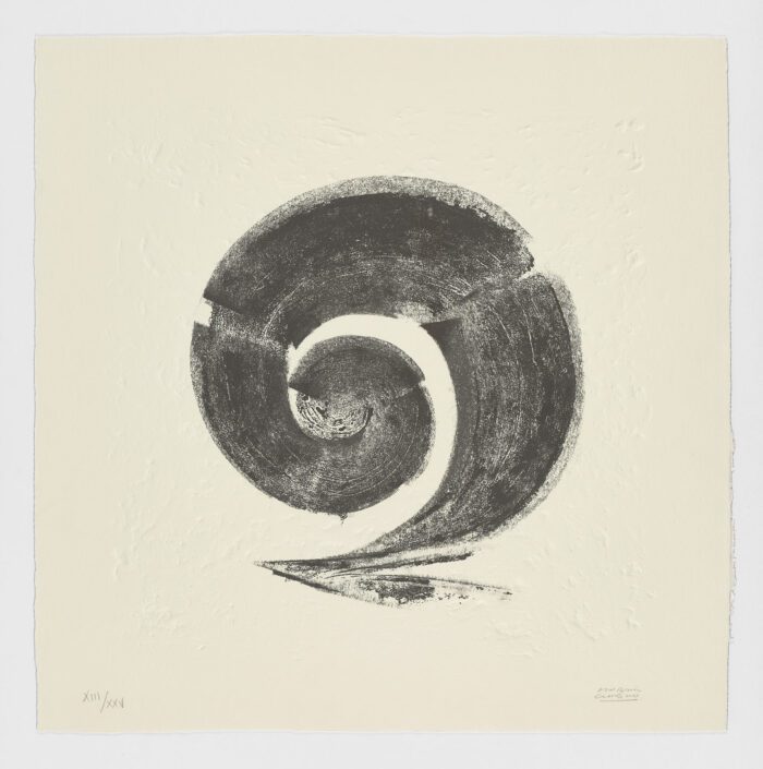 La Espiral. Naturaleza, Simbología y Cosmos, 2005, Martín Chirino