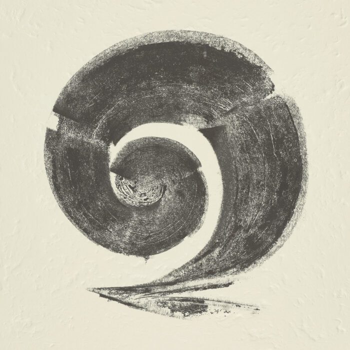 La Espiral. Naturaleza, Simbología y Cosmos, 2005, Martín Chirino