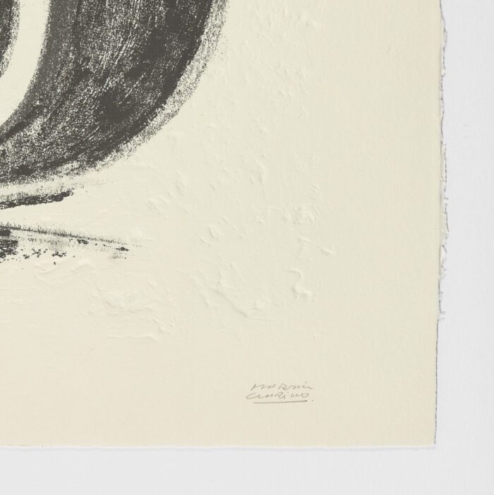 La Espiral. Naturaleza, Simbología y Cosmos, 2005, Martín Chirino