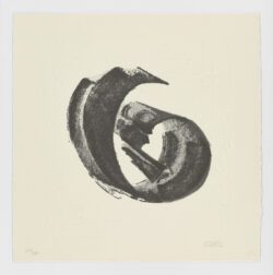 La Espiral. Naturaleza, Simbología y Cosmos, 2005, Martín Chirino