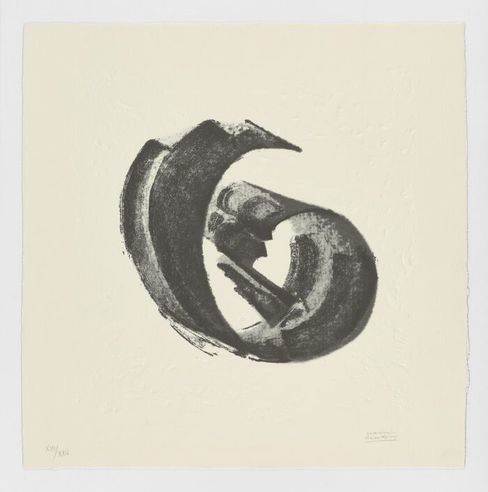 La Espiral. Naturaleza, Simbología y Cosmos, 2005, Martín Chirino