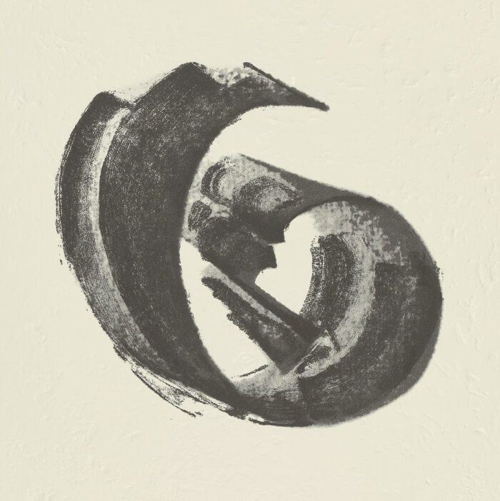 La Espiral. Naturaleza, Simbología y Cosmos, 2005, Martín Chirino