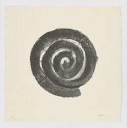 La Espiral. Naturaleza, Simbología y Cosmos, 2005, Martín Chirino