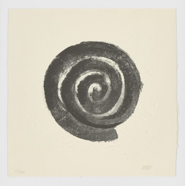 La Espiral. Naturaleza, Simbología y Cosmos, 2005, Martín Chirino